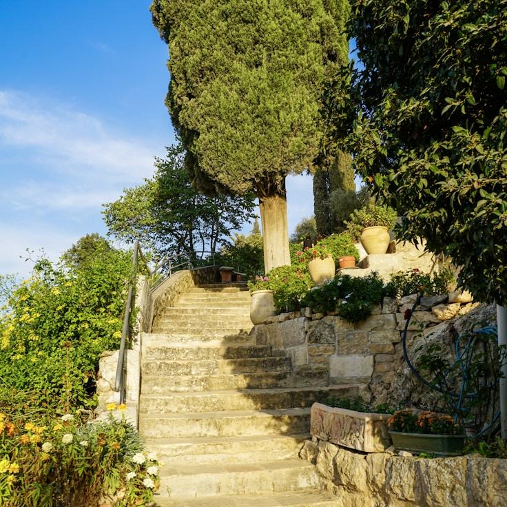 Family terraces and cafés for calm evenings in Madrid